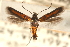  ( - CCDB-22954-D08)  @11 [ ] CreativeCommons - Attribution (2014) CBG Photography Group Centre for Biodiversity Genomics