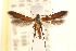  ( - CCDB-22954-D10)  @11 [ ] CreativeCommons - Attribution (2014) CBG Photography Group Centre for Biodiversity Genomics