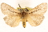  (Popoudina - CCDB-22955-E09)  @15 [ ] CreativeCommons - Attribution (2014) CBG Photography Group Centre for Biodiversity Genomics