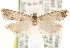  ( - CCDB-22958-A02)  @13 [ ] CreativeCommons - Attribution (2014) CBG Photography Group Centre for Biodiversity Genomics