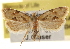  ( - CCDB-22958-A09)  @14 [ ] CreativeCommons - Attribution (2014) CBG Photography Group Centre for Biodiversity Genomics