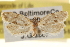  ( - CCDB-22958-A10)  @13 [ ] CreativeCommons - Attribution (2014) CBG Photography Group Centre for Biodiversity Genomics