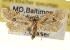  ( - CCDB-22958-A12)  @14 [ ] CreativeCommons - Attribution (2014) CBG Photography Group Centre for Biodiversity Genomics