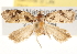  ( - CCDB-22958-B03)  @13 [ ] CreativeCommons - Attribution (2014) CBG Photography Group Centre for Biodiversity Genomics