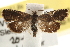  ( - CCDB-22958-B05)  @13 [ ] CreativeCommons - Attribution (2014) CBG Photography Group Centre for Biodiversity Genomics