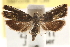  ( - CCDB-22958-B06)  @13 [ ] CreativeCommons - Attribution (2014) CBG Photography Group Centre for Biodiversity Genomics
