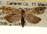  ( - CCDB-22958-D04)  @11 [ ] CreativeCommons - Attribution (2014) CBG Photography Group Centre for Biodiversity Genomics