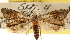  ( - CCDB-22958-D05)  @11 [ ] CreativeCommons - Attribution (2014) CBG Photography Group Centre for Biodiversity Genomics