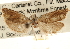  ( - CCDB-22958-E05)  @11 [ ] CreativeCommons - Attribution (2014) CBG Photography Group Centre for Biodiversity Genomics