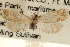  ( - CCDB-22958-E06)  @11 [ ] CreativeCommons - Attribution (2014) CBG Photography Group Centre for Biodiversity Genomics