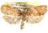  ( - CCDB-22958-G09)  @13 [ ] CreativeCommons - Attribution (2014) CBG Photography Group Centre for Biodiversity Genomics