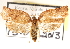  ( - CCDB-22958-H03)  @14 [ ] CreativeCommons - Attribution (2014) CBG Photography Group Centre for Biodiversity Genomics
