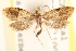  ( - CCDB-22960-C03)  @11 [ ] CreativeCommons - Attribution (2014) CBG Photography Group Centre for Biodiversity Genomics