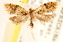  ( - CCDB-22960-C04)  @13 [ ] CreativeCommons - Attribution (2014) CBG Photography Group Centre for Biodiversity Genomics