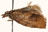  ( - CCDB-22960-D06)  @12 [ ] CreativeCommons - Attribution (2014) CBG Photography Group Centre for Biodiversity Genomics