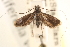  ( - CCDB-22960-G09)  @11 [ ] CreativeCommons - Attribution (2014) CBG Photography Group Centre for Biodiversity Genomics