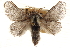  ( - CCDB-23268-D06)  @14 [ ] CreativeCommons - Attribution (2014) CBG Photography Group Centre for Biodiversity Genomics