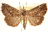  ( - CCDB-23268-H03)  @11 [ ] CreativeCommons - Attribution (2014) CBG Photography Group Centre for Biodiversity Genomics