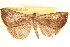  ( - CCDB-23268-H05)  @11 [ ] CreativeCommons - Attribution (2014) CBG Photography Group Centre for Biodiversity Genomics