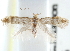  ( - CCDB-23269-H09)  @11 [ ] CreativeCommons - Attribution (2014) CBG Photography Group Centre for Biodiversity Genomics