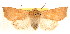  ( - CCDB-23270-B03)  @11 [ ] CreativeCommons - Attribution (2014) CBG Photography Group Centre for Biodiversity Genomics