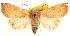  ( - CCDB-23270-B05)  @11 [ ] CreativeCommons - Attribution (2014) CBG Photography Group Centre for Biodiversity Genomics