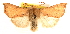  ( - CCDB-23270-B06)  @11 [ ] CreativeCommons - Attribution (2014) CBG Photography Group Centre for Biodiversity Genomics
