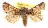  ( - CCDB-23270-B11)  @11 [ ] CreativeCommons - Attribution (2014) CBG Photography Group Centre for Biodiversity Genomics