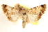  ( - CCDB-23270-E01)  @11 [ ] CreativeCommons - Attribution (2014) CBG Photography Group Centre for Biodiversity Genomics