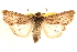  ( - CCDB-23270-E04)  @11 [ ] CreativeCommons - Attribution (2014) CBG Photography Group Centre for Biodiversity Genomics