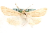  ( - CCDB-23270-H10)  @11 [ ] CreativeCommons - Attribution (2014) CBG Photography Group Centre for Biodiversity Genomics