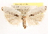  ( - CCDB-23271-B03)  @11 [ ] CreativeCommons - Attribution (2014) CBG Photography Group Centre for Biodiversity Genomics