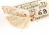  ( - CCDB-23271-B04)  @11 [ ] CreativeCommons - Attribution (2014) CBG Photography Group Centre for Biodiversity Genomics