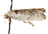  ( - CCDB-23271-B06)  @11 [ ] CreativeCommons - Attribution (2014) CBG Photography Group Centre for Biodiversity Genomics