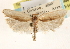  ( - CCDB-23271-H06)  @11 [ ] CreativeCommons - Attribution (2014) CBG Photography Group Centre for Biodiversity Genomics