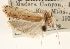  ( - CCDB-23271-H08)  @11 [ ] CreativeCommons - Attribution (2014) CBG Photography Group Centre for Biodiversity Genomics