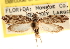  ( - CCDB-23273-A10)  @11 [ ] CreativeCommons - Attribution (2014) CBG Photography Group Centre for Biodiversity Genomics