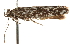  ( - CCDB-23273-B01)  @11 [ ] CreativeCommons - Attribution (2014) CBG Photography Group Centre for Biodiversity Genomics