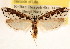  ( - CCDB-23273-E02)  @11 [ ] CreativeCommons - Attribution (2014) CBG Photography Group Centre for Biodiversity Genomics