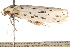  ( - CCDB-23274-E07)  @13 [ ] CreativeCommons - Attribution (2014) CBG Photography Group Centre for Biodiversity Genomics