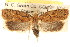  ( - CCDB-23274-F10)  @11 [ ] CreativeCommons - Attribution (2014) CBG Photography Group Centre for Biodiversity Genomics