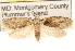  ( - CCDB-23274-F11)  @14 [ ] CreativeCommons - Attribution (2014) CBG Photography Group Centre for Biodiversity Genomics