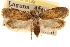  ( - CCDB-23274-G04)  @11 [ ] CreativeCommons - Attribution (2014) CBG Photography Group Centre for Biodiversity Genomics