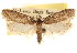  ( - CCDB-23274-H02)  @11 [ ] CreativeCommons - Attribution (2014) CBG Photography Group Centre for Biodiversity Genomics