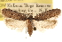  ( - CCDB-23274-H03)  @11 [ ] CreativeCommons - Attribution (2014) CBG Photography Group Centre for Biodiversity Genomics