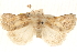  ( - CCDB-23275-A01)  @11 [ ] CreativeCommons - Attribution (2014) CBG Photography Group Centre for Biodiversity Genomics