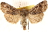  ( - CCDB-23275-B10)  @11 [ ] CreativeCommons - Attribution (2014) CBG Photography Group Centre for Biodiversity Genomics