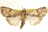  ( - CCDB-23275-C01)  @11 [ ] CreativeCommons - Attribution (2014) CBG Photography Group Centre for Biodiversity Genomics