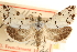  ( - CCDB-23275-H04)  @11 [ ] CreativeCommons - Attribution (2014) CBG Photography Group Centre for Biodiversity Genomics