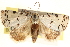  ( - CCDB-23275-H05)  @11 [ ] CreativeCommons - Attribution (2014) CBG Photography Group Centre for Biodiversity Genomics